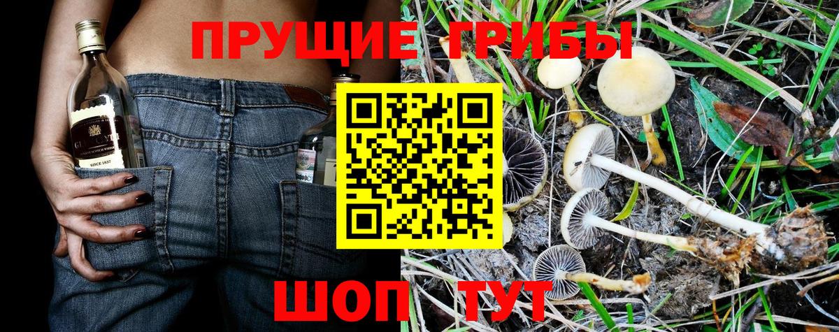 Галлюциногенные грибы прущие грибы Заринск
