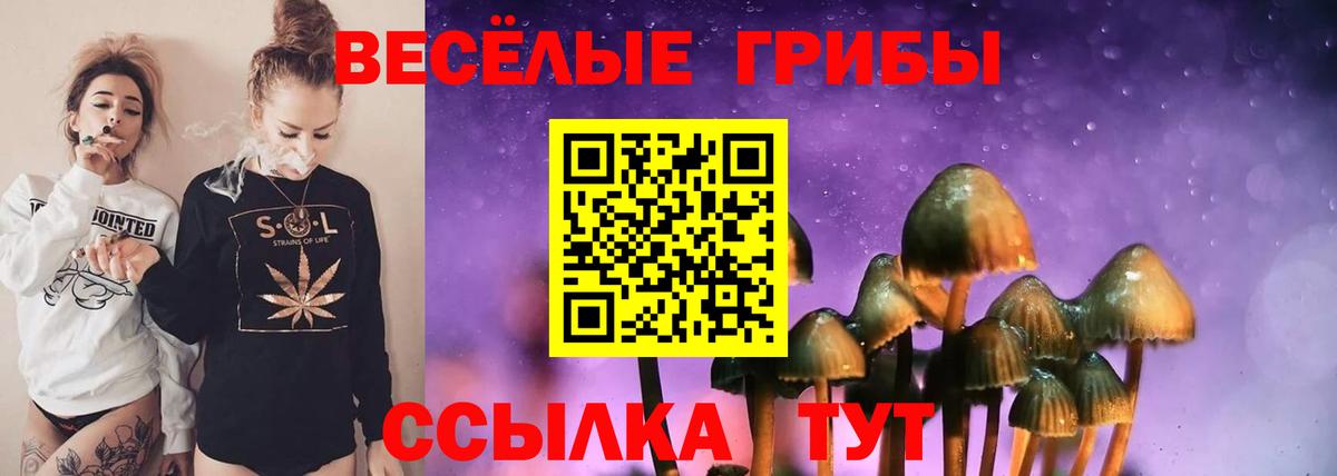 Заринск  Псилоцибиновые грибы мицелий  Псилоцибиновые грибы Magic Shrooms  Вход с VPN 